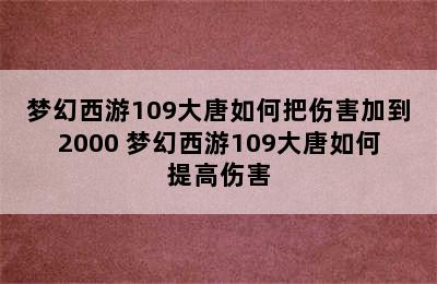 梦幻西游109大唐如何把伤害加到2000 梦幻西游109大唐如何提高伤害